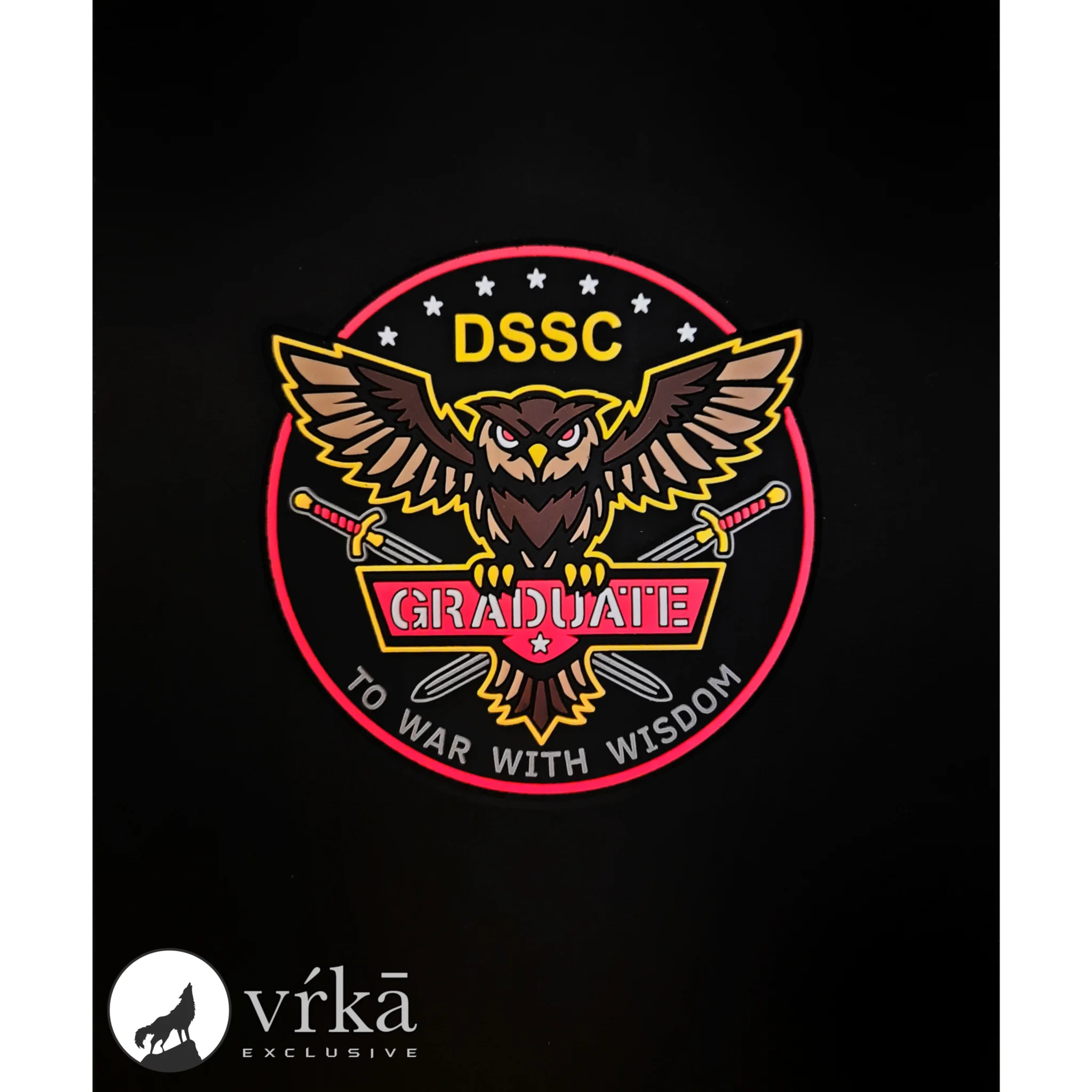 Featured image for “DSSC Graduate”