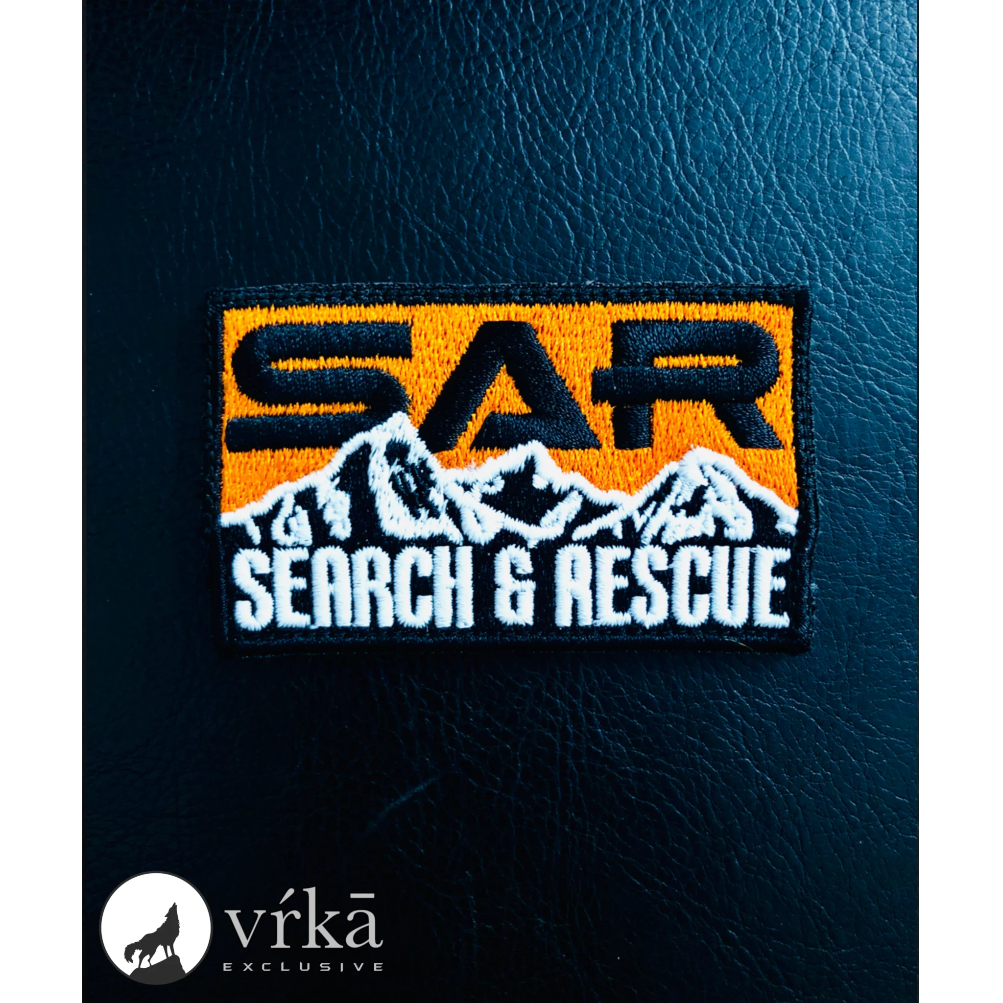 Featured image for “SAR : Mountain Search and Rescue”